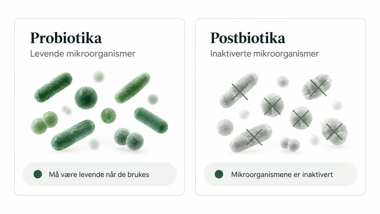 Infografikk som viser forskjellen mellom probiotika og postbiotika.
